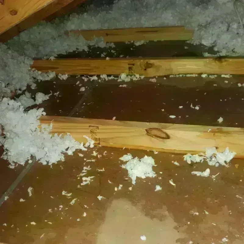 Attic Water Damage in Bawcomville, LA